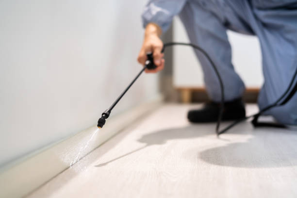 Best Pest Prevention Services  in Clear Lake, WI